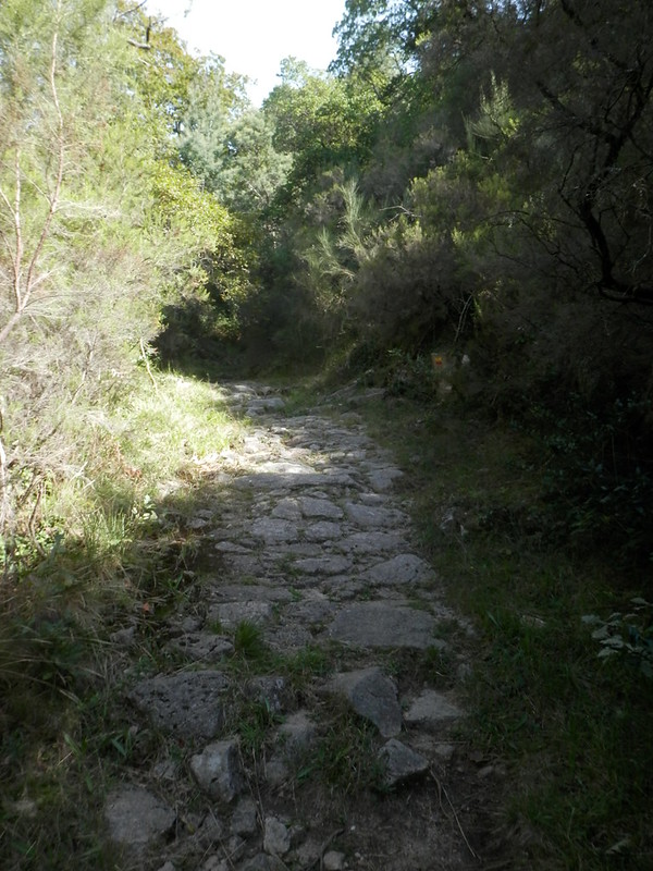 Calçada Portuguesa - Trilho da preguiça