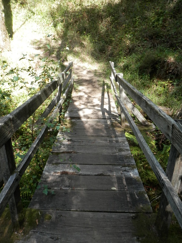 Ponte junto à Cascata da Laja - Trilho da Preguiça