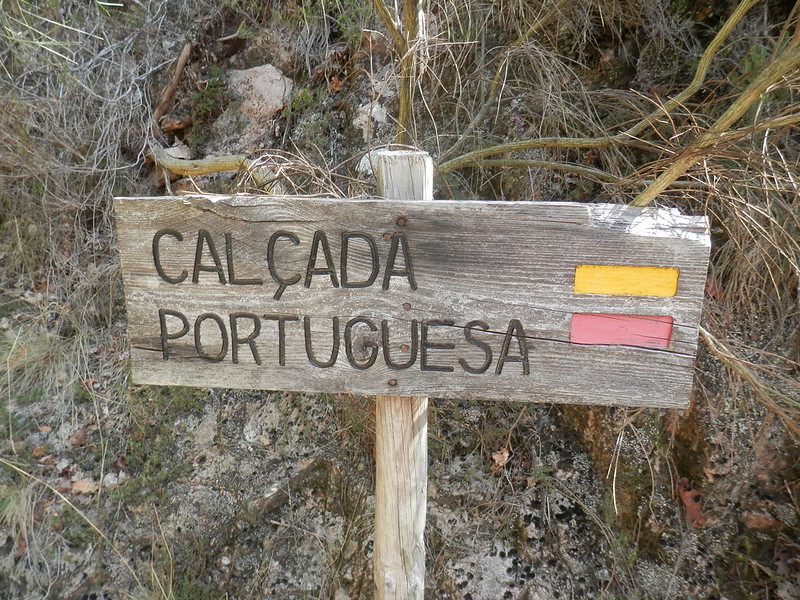 Calçada Portuguesa - Trilho da Preguiça