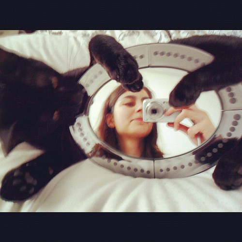 #photoadayapril - 1 - my reflection - mirror holder: Fuscas, the cat