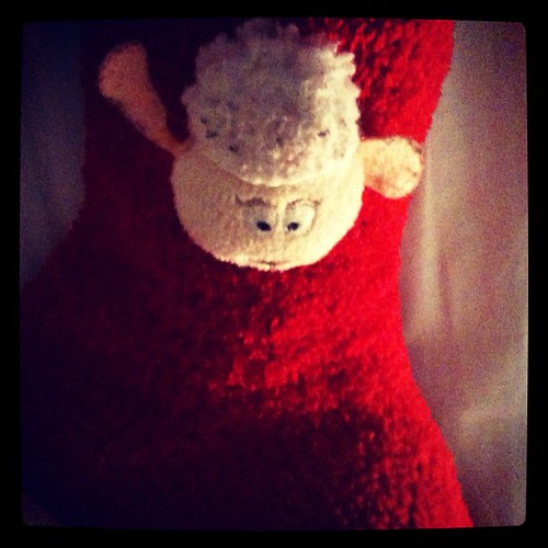 #photoadayapril - 2 - colour - my red sock! lol