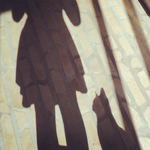 #photoadayapril - 7 - shadow
