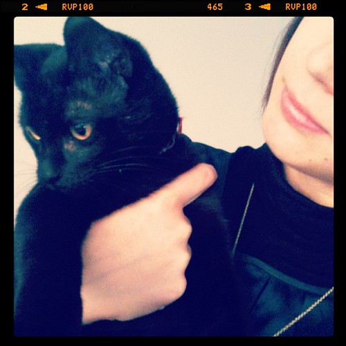 #photoadayapril - 13 - something i found - love for and from a cat