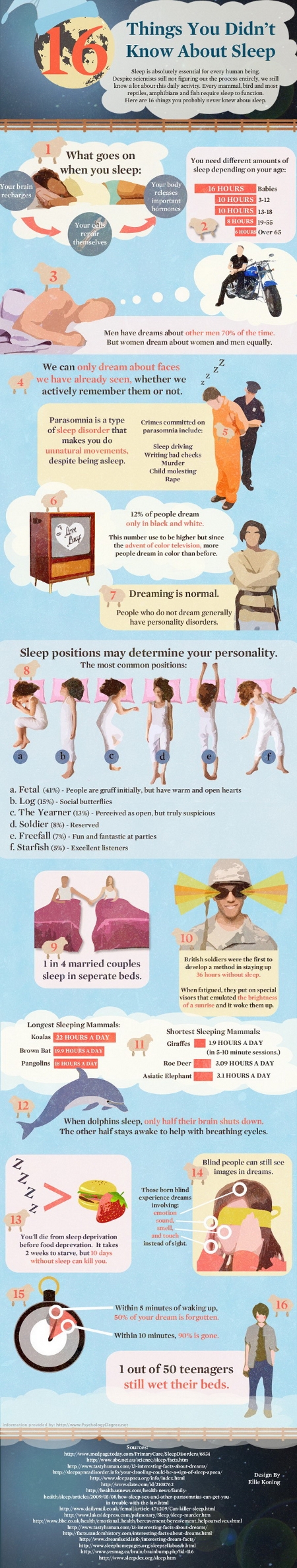 Factos sobre o sono - Facts about sleep