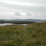 near seals place near Dunvegan