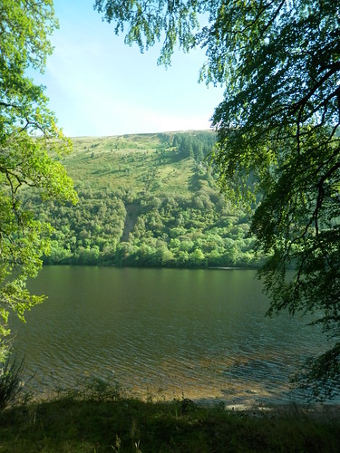 Loch Oich, south of Invergarry #13