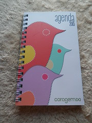 Agenda Minicor 2015