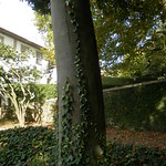PA250079