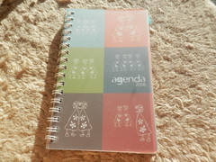 Agenda 2008 capa