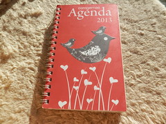 Agenda 2013 capa