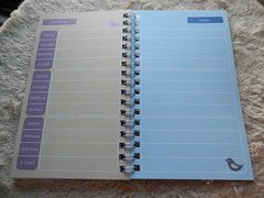 Agenda Minicor 2015