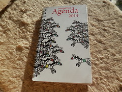 Agenda 2014 capa