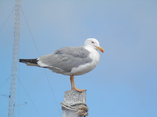 P7110015