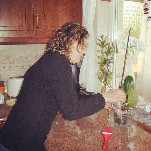 #photoadaymay - day 13 - mum - taking care of the flowers