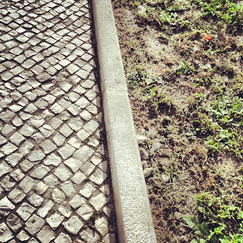 #photoadaymay - day 14 - grass