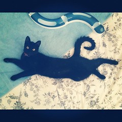 Work it baby. Model: Fuscas